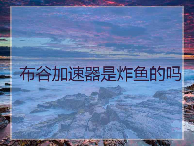 布谷加速器是炸鱼的吗
