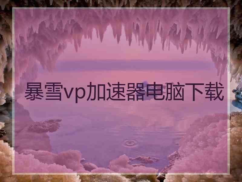 暴雪vp加速器电脑下载