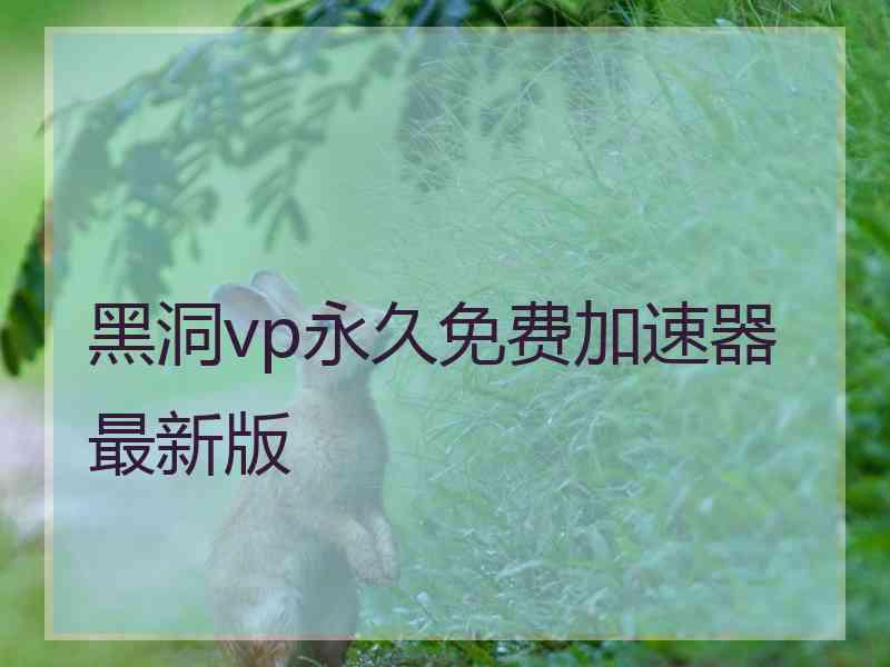 黑洞vp永久免费加速器最新版