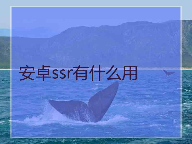 安卓ssr有什么用