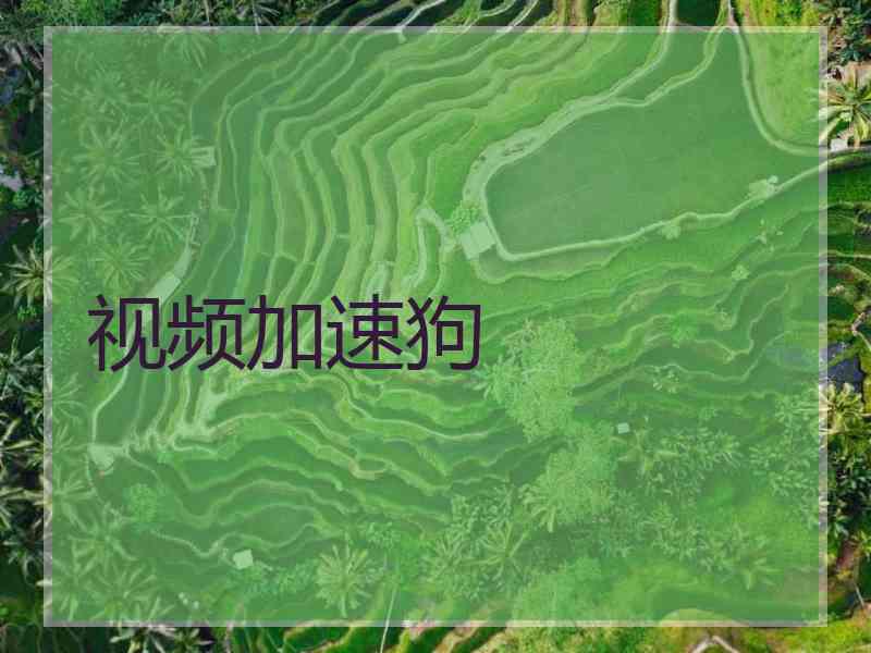 视频加速狗