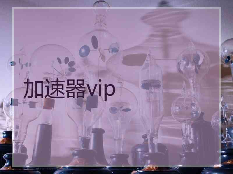 加速器vip