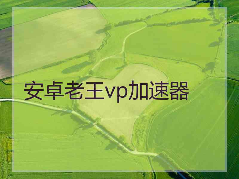 安卓老王vp加速器