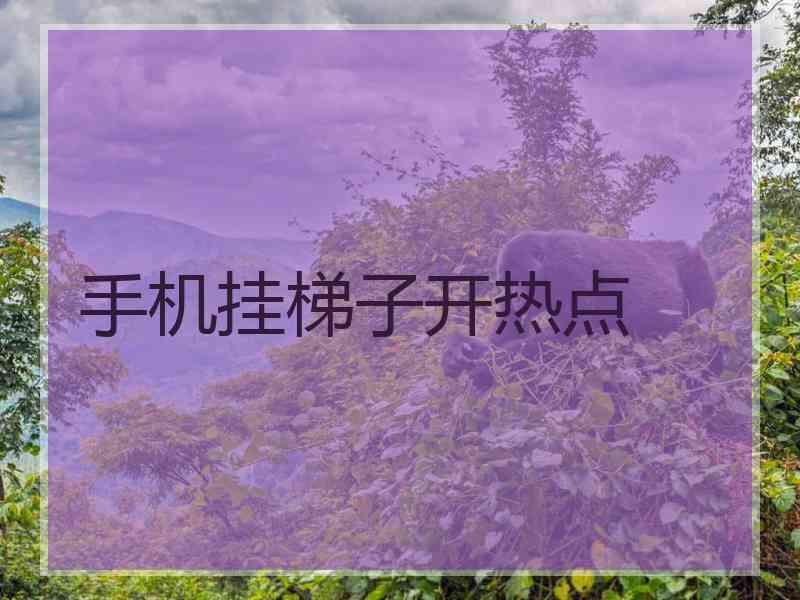 手机挂梯子开热点