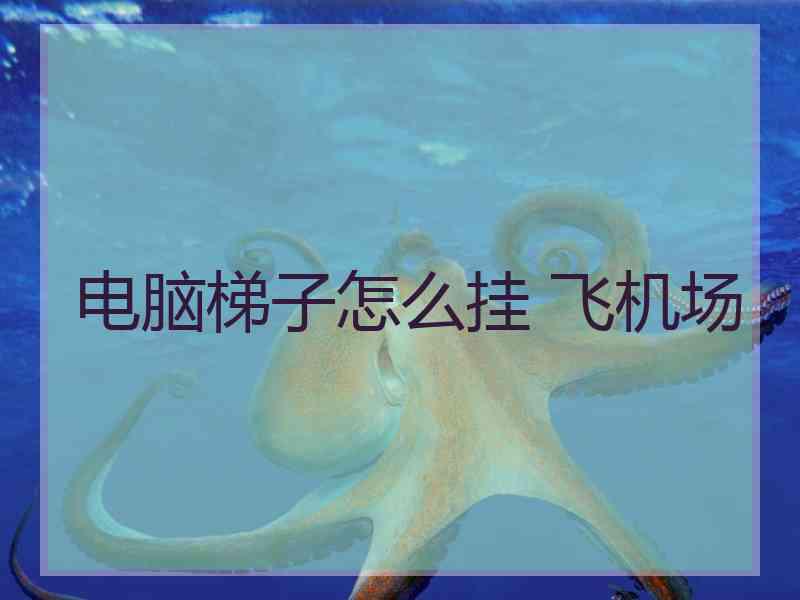 电脑梯子怎么挂 飞机场