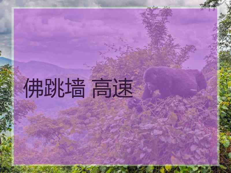 佛跳墙 高速