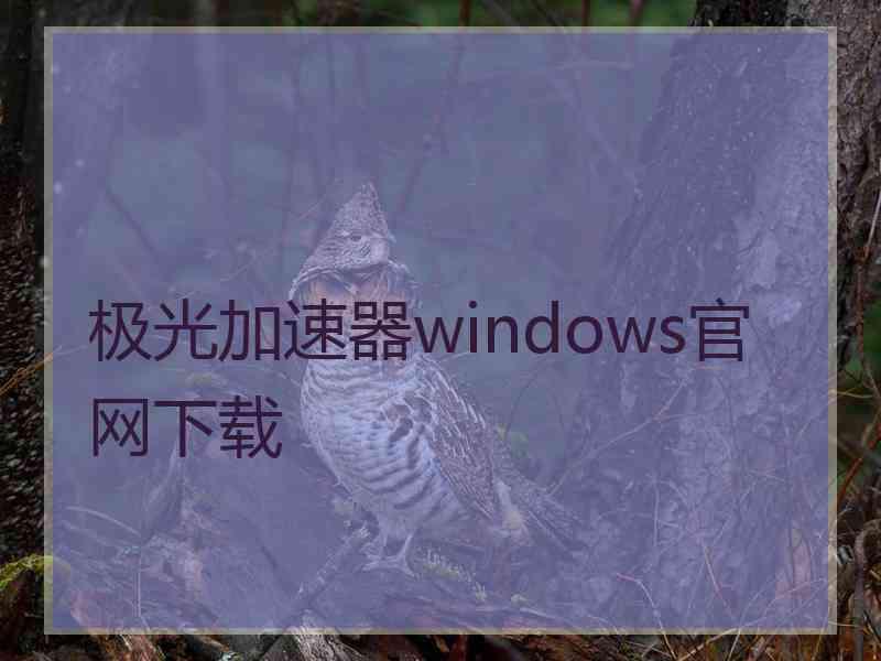 极光加速器windows官网下载