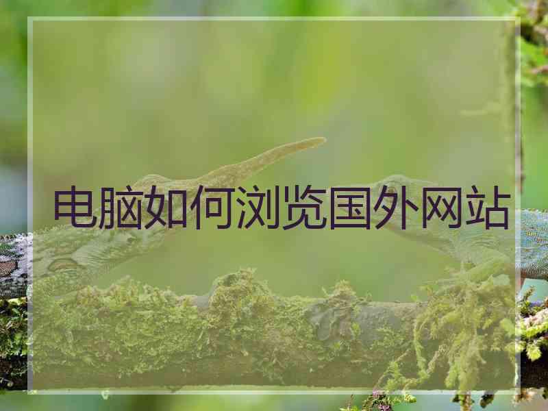 电脑如何浏览国外网站