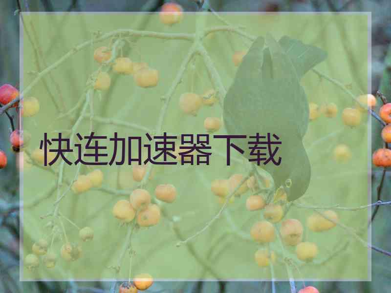 快连加速器下载