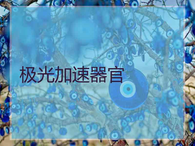 极光加速器官