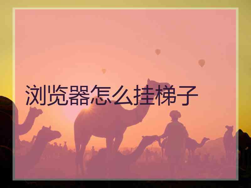 浏览器怎么挂梯子