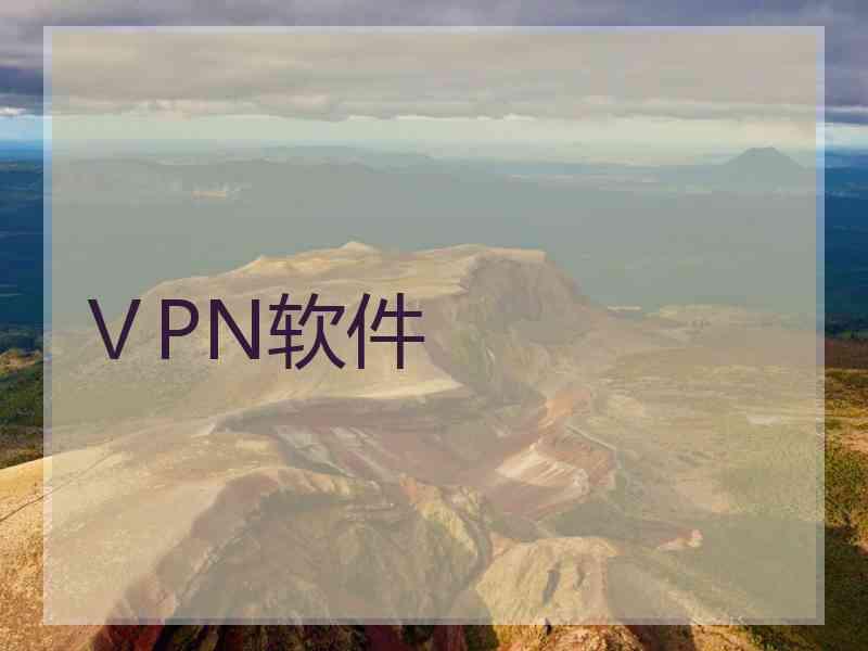 ⅤPN软件