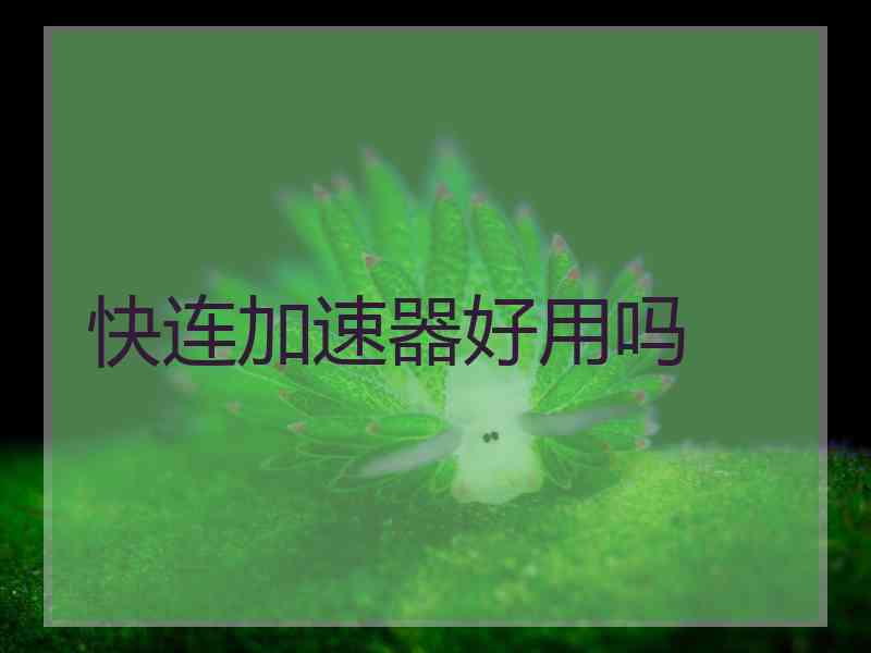 快连加速器好用吗