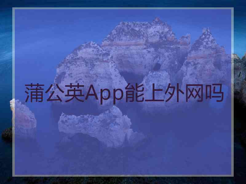 蒲公英App能上外网吗