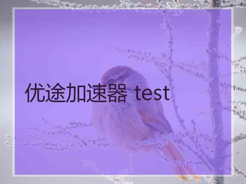 优途加速器 test