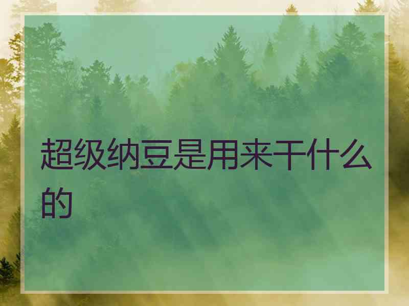 超级纳豆是用来干什么的