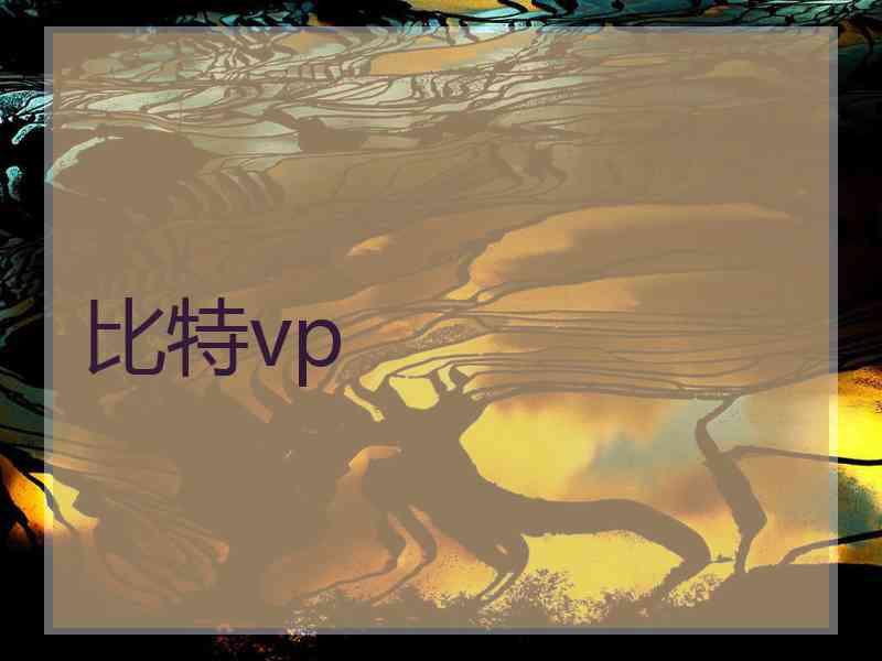 比特vp