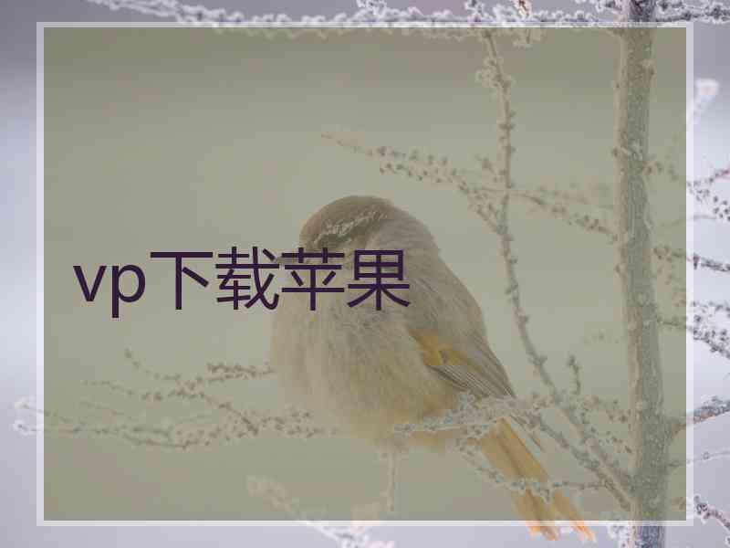 vp下载苹果