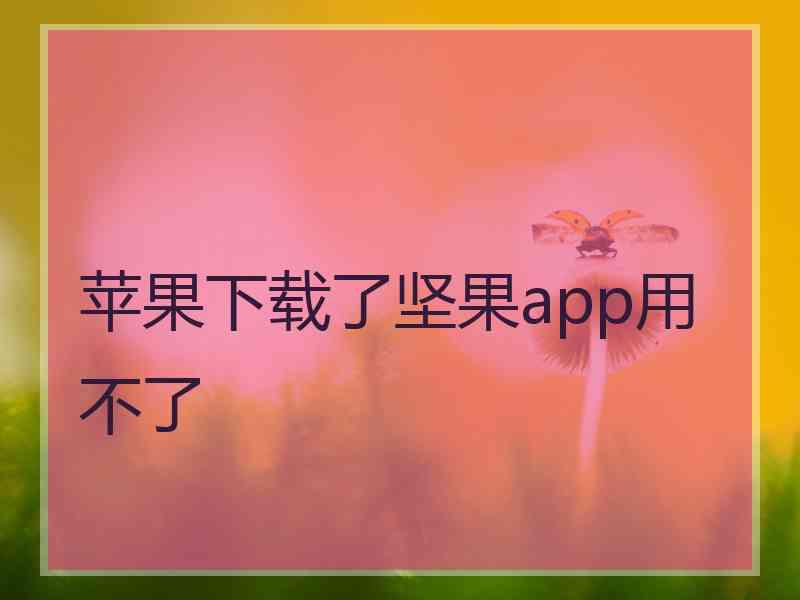苹果下载了坚果app用不了