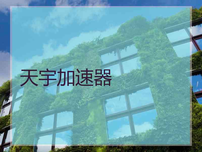 天宇加速器