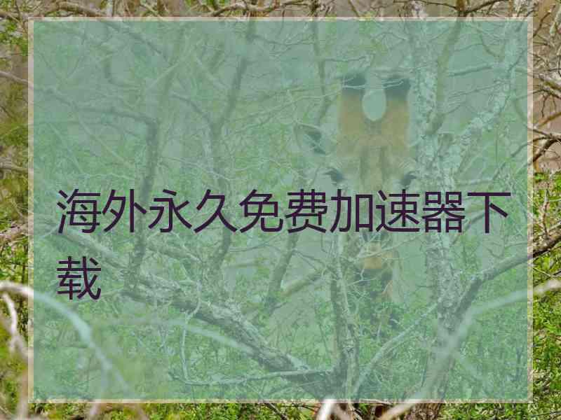 海外永久免费加速器下载