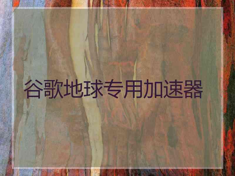 谷歌地球专用加速器