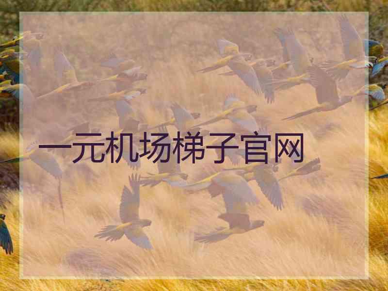 一元机场梯子官网