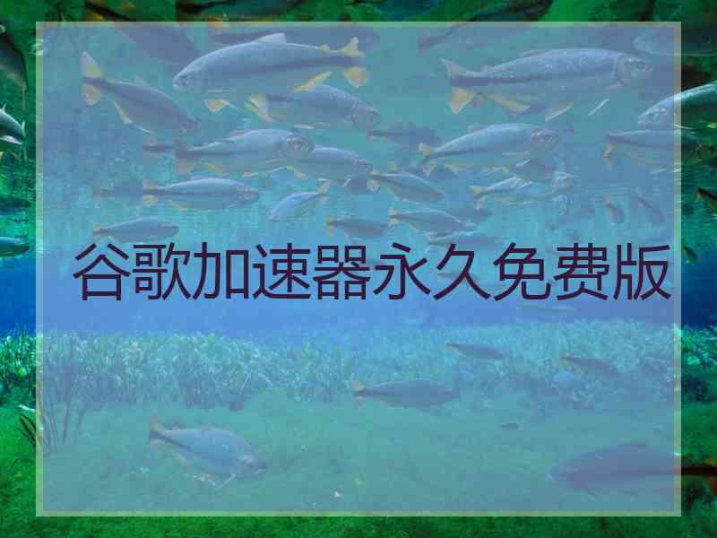 谷歌加速器永久免费版