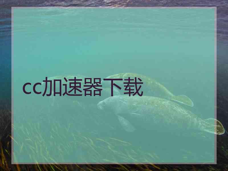 cc加速器下载