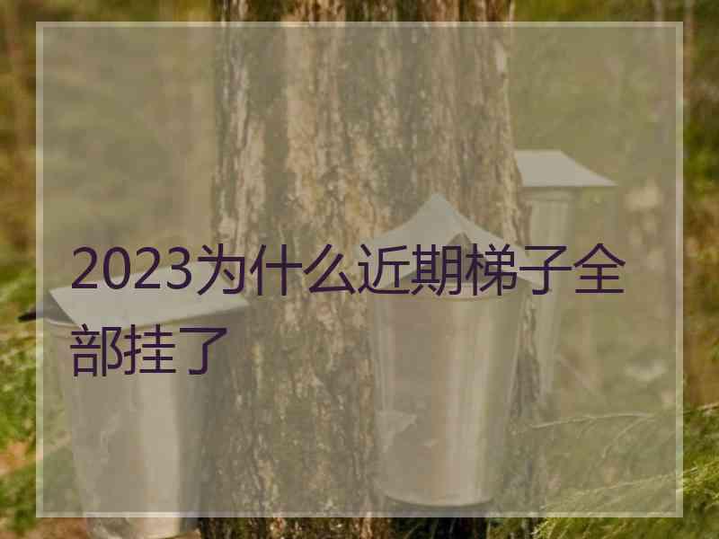 2023为什么近期梯子全部挂了