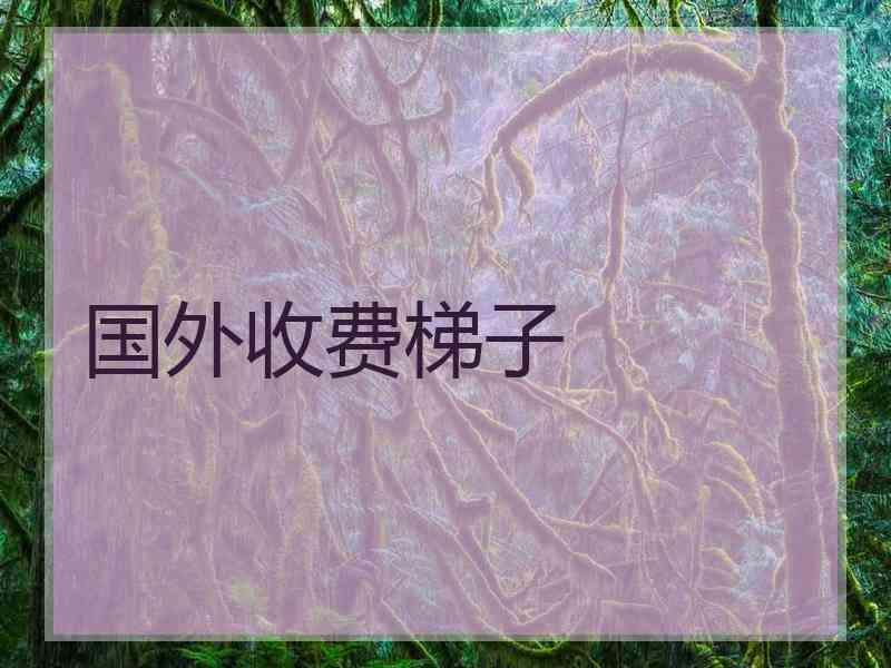 国外收费梯子