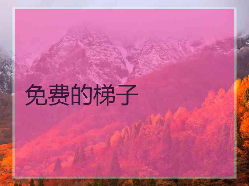 免费的梯子