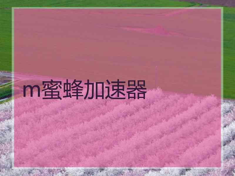 m蜜蜂加速器