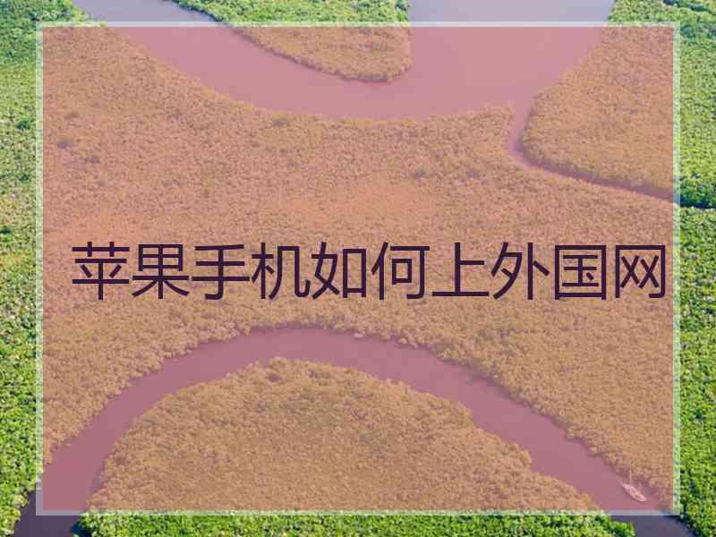 苹果手机如何上外国网