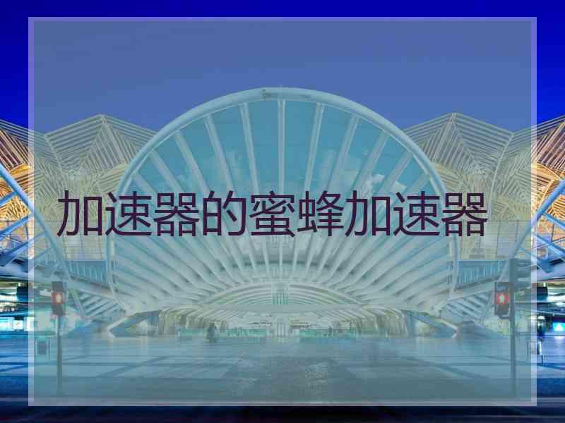 加速器的蜜蜂加速器