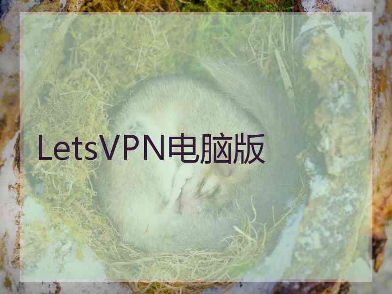 LetsVPN电脑版