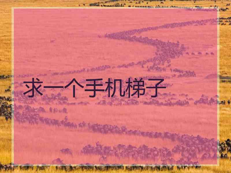 求一个手机梯子