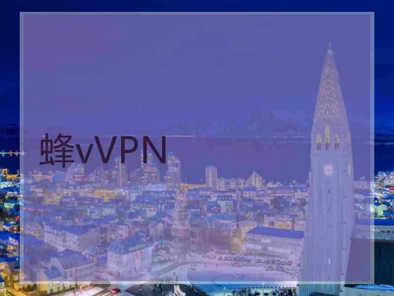 蜂vVPN