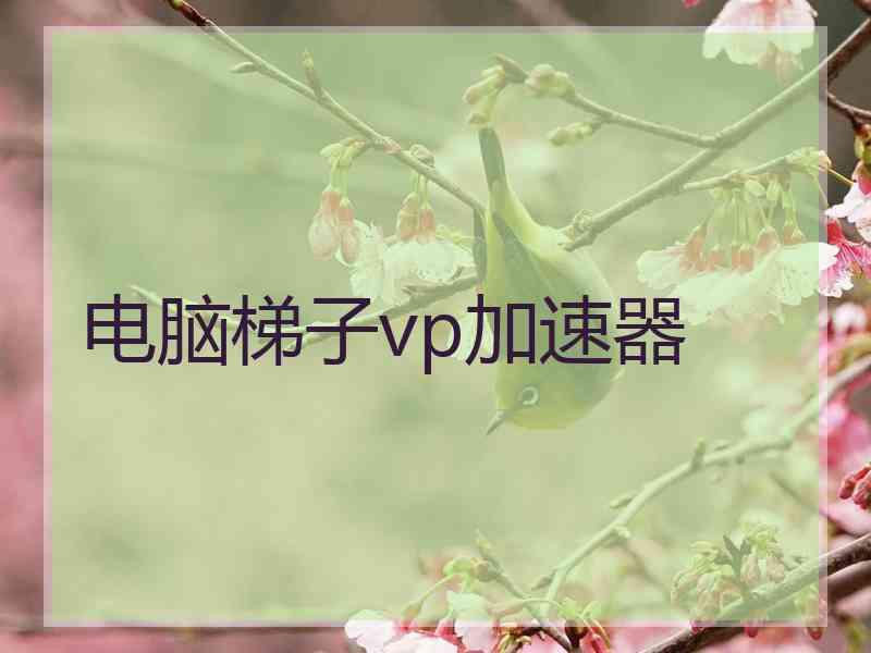 电脑梯子vp加速器