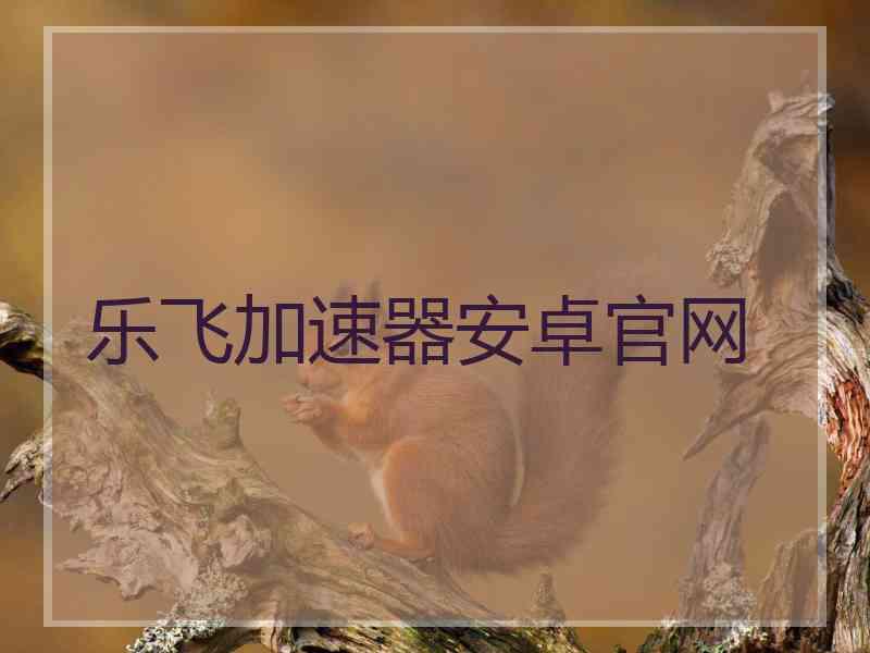 乐飞加速器安卓官网