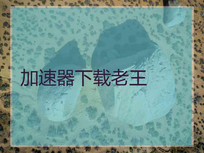 加速器下载老王