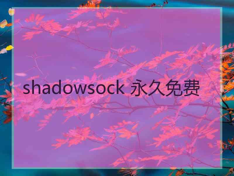 shadowsock 永久免费