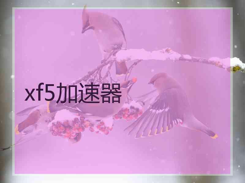 xf5加速器