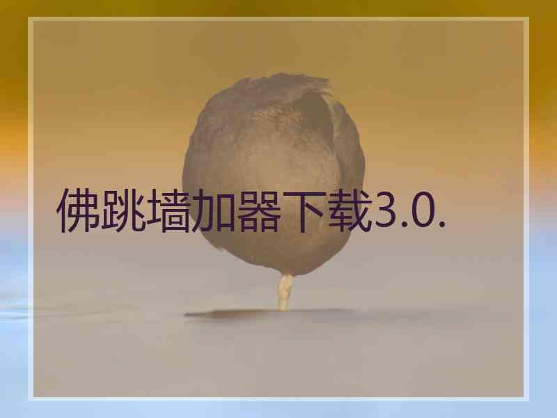 佛跳墙加器下载3.0.