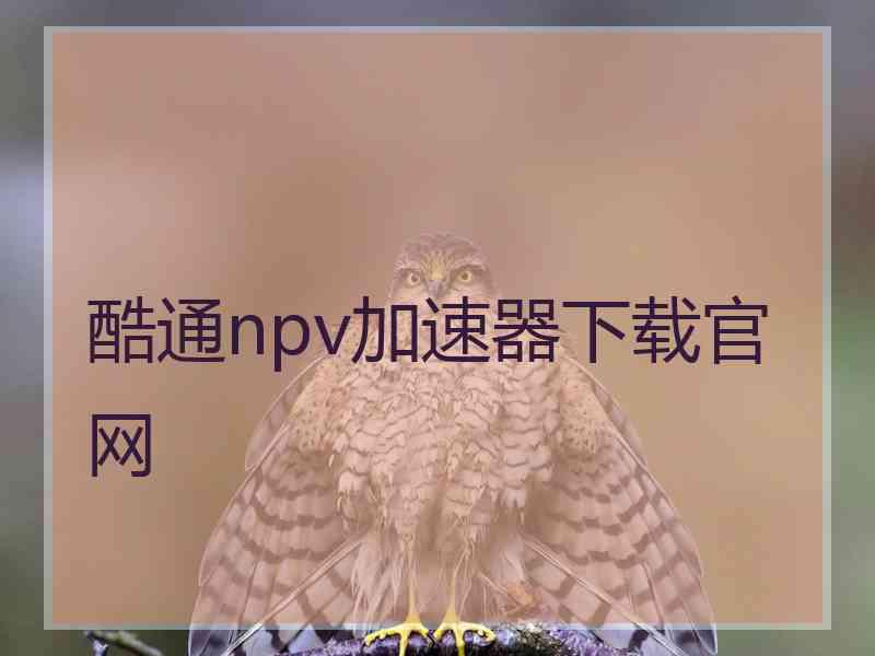 酷通npv加速器下载官网