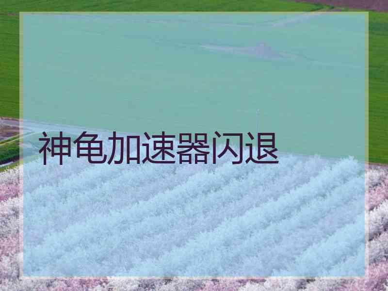 神龟加速器闪退