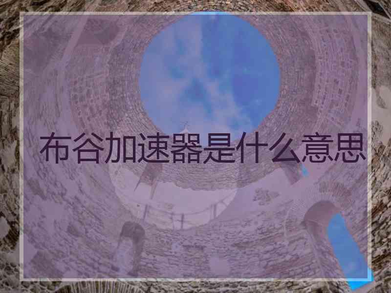 布谷加速器是什么意思