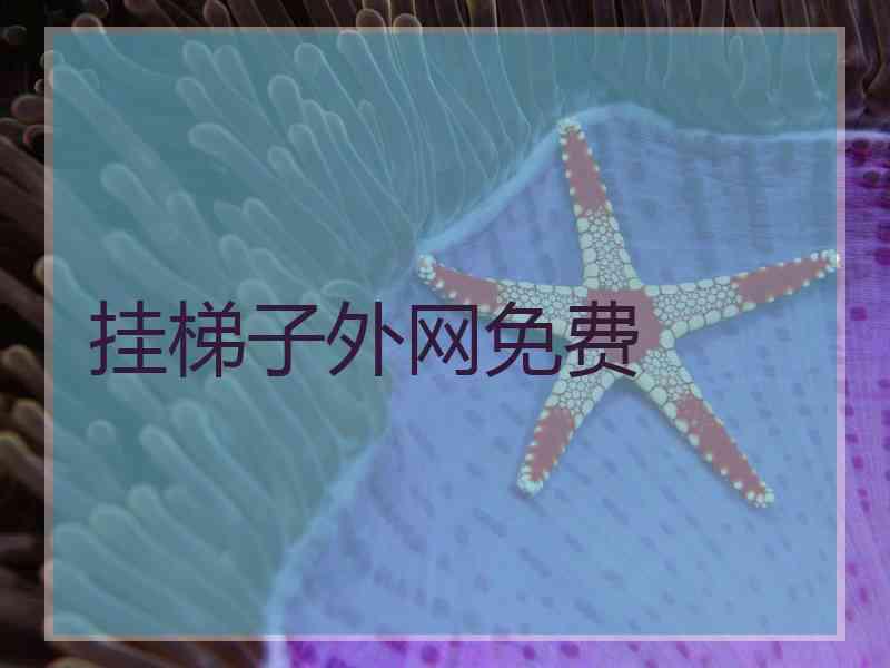 挂梯子外网免费