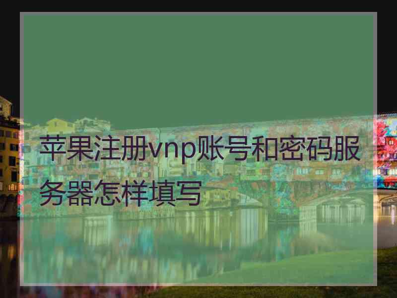 苹果注册vnp账号和密码服务器怎样填写