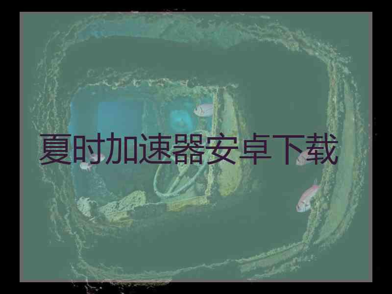 夏时加速器安卓下载